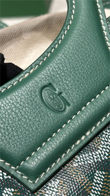 Goyard Beluga Mini Bag Goyardine Canvas & Chevroches Calfskin Green