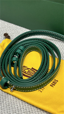 Goyard Beluga Mini Bag Goyardine Canvas & Chevroches Calfskin Green