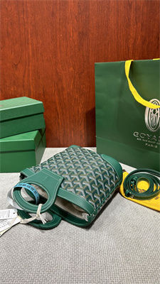 Goyard Beluga Mini Bag Goyardine Canvas & Chevroches Calfskin Green