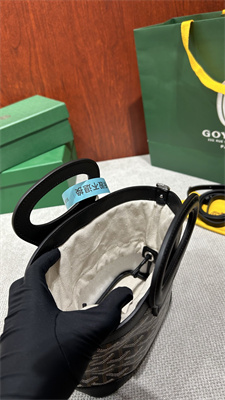 Goyard Beluga Mini Bag Goyardine Canvas & Chevroches Calfskin Black