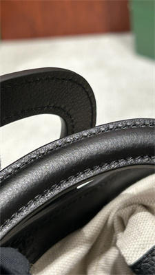 Goyard Beluga Mini Bag Goyardine Canvas & Chevroches Calfskin Black