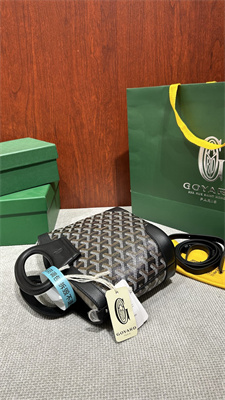 Goyard Beluga Mini Bag Goyardine Canvas & Chevroches Calfskin Black