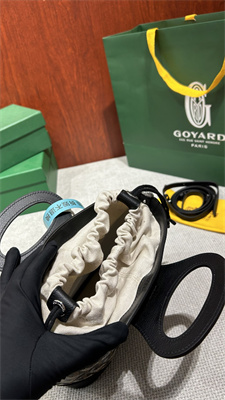 Goyard Beluga Mini Bag Goyardine Canvas & Chevroches Calfskin Black