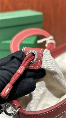 Goyard Beluga Mini Bag Goyardine Canvas & Chevroches Calfskin Red