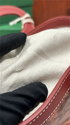 Goyard Beluga Mini Bag Goyardine Canvas & Chevroches Calfskin Red