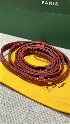 Goyard Beluga Mini Bag Goyardine Canvas & Chevroches Calfskin Red