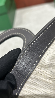 Goyard Beluga Mini Bag Goyardine Canvas & Chevroches Calfskin Grey