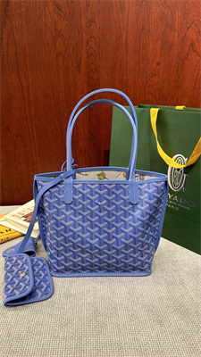 Goyard Anjou Mini Bag Chevroches Calfskin & Goyardine Canvas Iris
