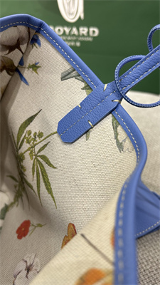 Goyard Anjou Mini Bag Chevroches Calfskin & Goyardine Canvas Iris