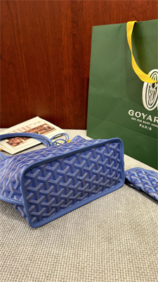 Goyard Anjou Mini Bag Chevroches Calfskin & Goyardine Canvas Iris
