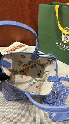 Goyard Anjou Mini Bag Chevroches Calfskin & Goyardine Canvas Iris