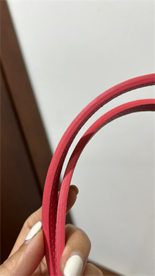 Goyard Saint Louis PM Bag In Goyardine Canvas & Chevroches Calfskin Fuchsia