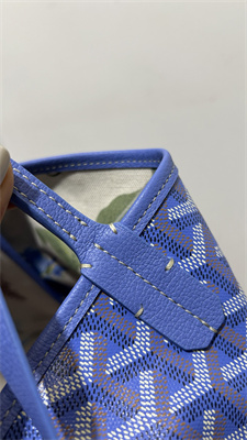 Goyard Saint Louis PM Bag In Goyardine Canvas & Chevroches Calfskin Iris