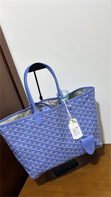 Goyard Saint Louis PM Bag In Goyardine Canvas & Chevroches Calfskin Iris