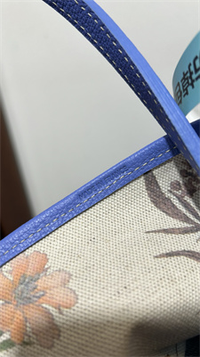 Goyard Saint Louis PM Bag In Goyardine Canvas & Chevroches Calfskin Iris