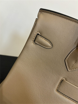 Birkin Colormatic Bag Swift Leather 25/30 Gold/Silver Hardware In Trench Color HS