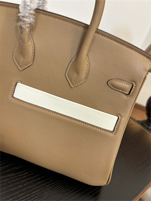 Birkin Colormatic Bag Swift Leather 25/30 Gold/Silver Hardware In CHAI, LIME, MAUVE SYLVESTRE, BLEU BRUME, CASSIS & NATA Color HS