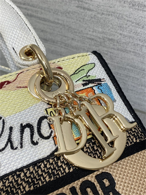 CD Medium Lady D-Lite Bag  Embroidery White