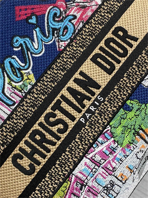 CD Medium Lady D-Lite Bag  Embroidery Blue