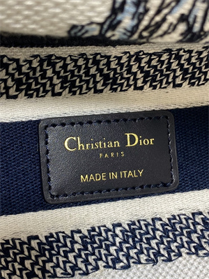 CD Medium Lady D-Lite Bag  Embroidery White