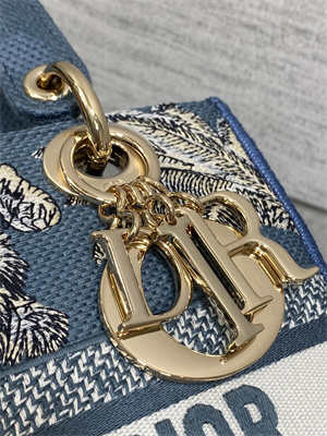 CD Medium Lady D-Lite Bag  Embroidery Blue