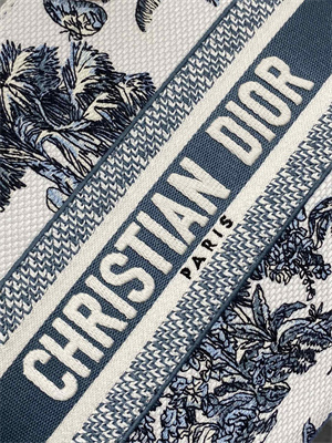 CD Medium Lady D-Lite Bag  Embroidery White &Blue