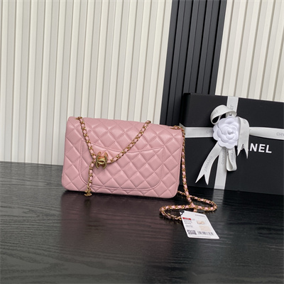 Chanel Small Flap Bag Lambskin Gold Tone Metal Pink AS5756