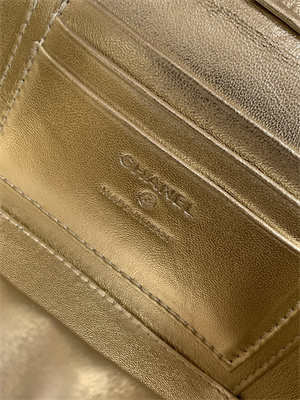 Chanel Vanity Case Grained Calfskin& Silver-Tone Metal Gold AP3940