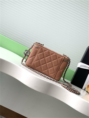 Chanel Vanity Case Grained Calfskin& Silver-Tone Metal Brown AP3940