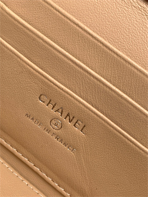 Chanel Vanity Case Lambskin & Silver-Tone Metal Brown AP3940