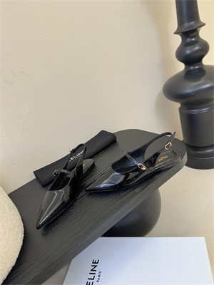 Celine Flat Slingback 38967