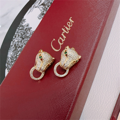 Cartier Earrings 38862