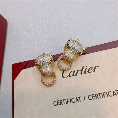 Cartier Earrings 38862