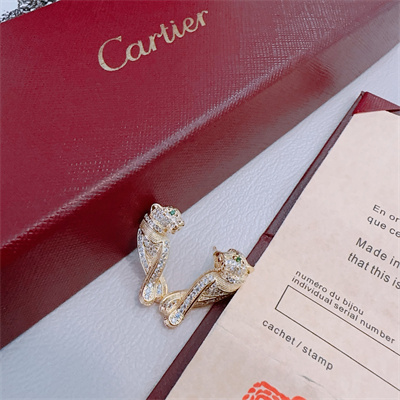 Cartier Earrings 38864