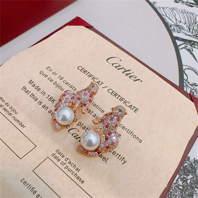 Cartier Earrings 38866