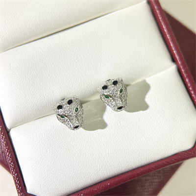 Cartier Earrings 38875