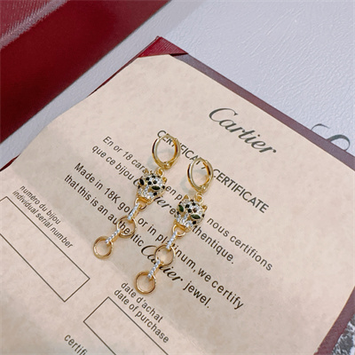 Cartier Earrings 38879
