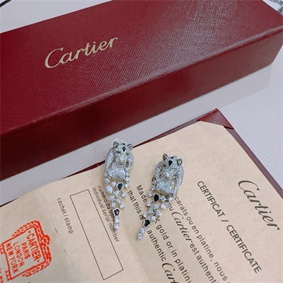 Cartier Earrings 38881