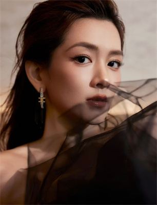 Celine Earrings 38982