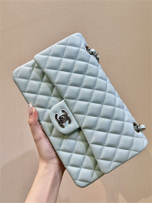 Chanel Medium Classic Flap Bag Grained Calfskin Silver Tone Metal Mint 01112 TOP