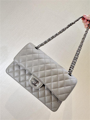 Chanel Medium Classic Flap Bag Grained Calfskin Silver Tone Metal Etoupe 01112 TOP