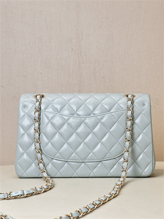 Chanel Medium Classic Flap Bag Lambskin Gold Tone Metal Baby Blue 01112 TOP