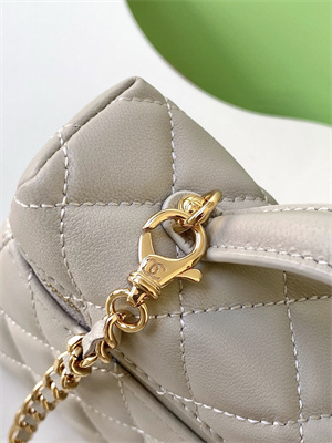 Chanel Vanity With Chain Shinny Lambskin , Strass & Gold-Tone Metal Light Grey AP4804