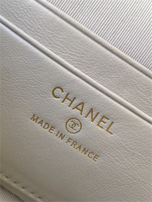Chanel Vanity With Chain Shinny Lambskin , Strass & Gold-Tone Metal Light Grey AP4804