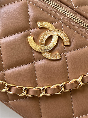 Chanel Vanity With Chain Shinny Lambskin , Strass & Gold-Tone Metal Brown AP4804