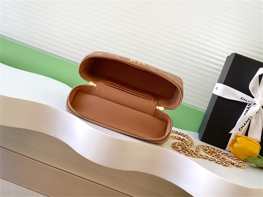 Chanel Vanity With Chain Shinny Lambskin , Strass & Gold-Tone Metal Brown AP4804