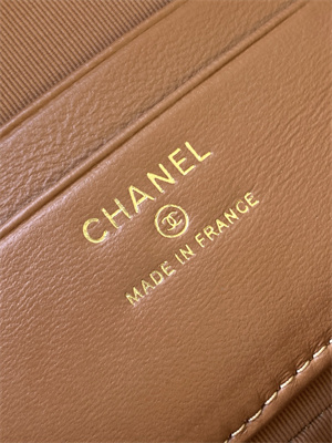 Chanel Vanity With Chain Shinny Lambskin , Strass & Gold-Tone Metal Brown AP4804