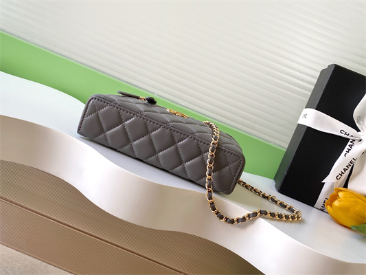 Chanel Vanity With Chain Shinny Lambskin , Strass & Gold-Tone Metal Dk Grey AP4804