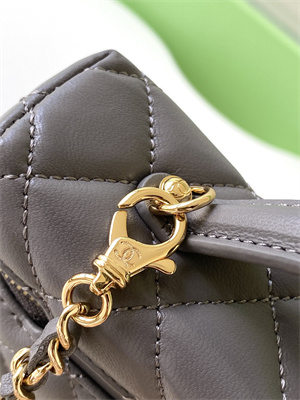 Chanel Vanity With Chain Shinny Lambskin , Strass & Gold-Tone Metal Dk Grey AP4804