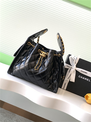 Chanel 25 Small Handbag Shinny Smooth Calfskin Gold Tone Metal Black AS5293
